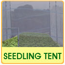 seedling-tent